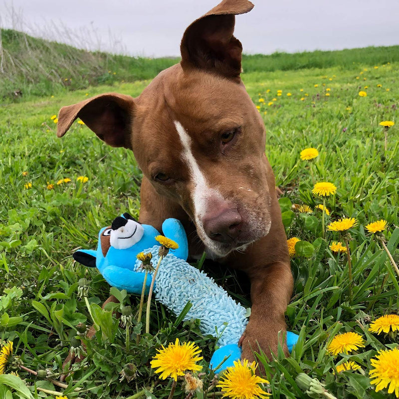 Snuggle Puppy Tender-Tuffs Fetch - Big Tough Plush Dog Toy - Play Fetch or Tug-of-War - Shaggy Blue Raccoon with Puncture Resistant Squeaker - BeesActive Australia
