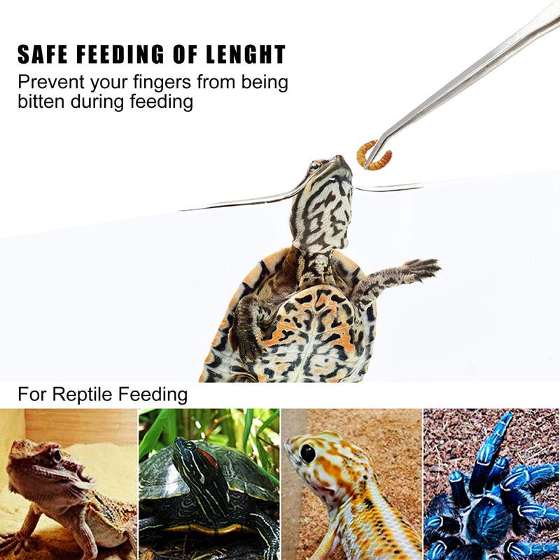 Longjet Feeding Tongs, 2 Pcs 10.6 Inch Stainless Steel Long Tweezers Forceps, for Reptile Lizards, Gecko, Bearded Dragon, Snake, Turtle Feeder and Aquarium Aquatic Plant Bonsai Starter Tools - BeesActive Australia