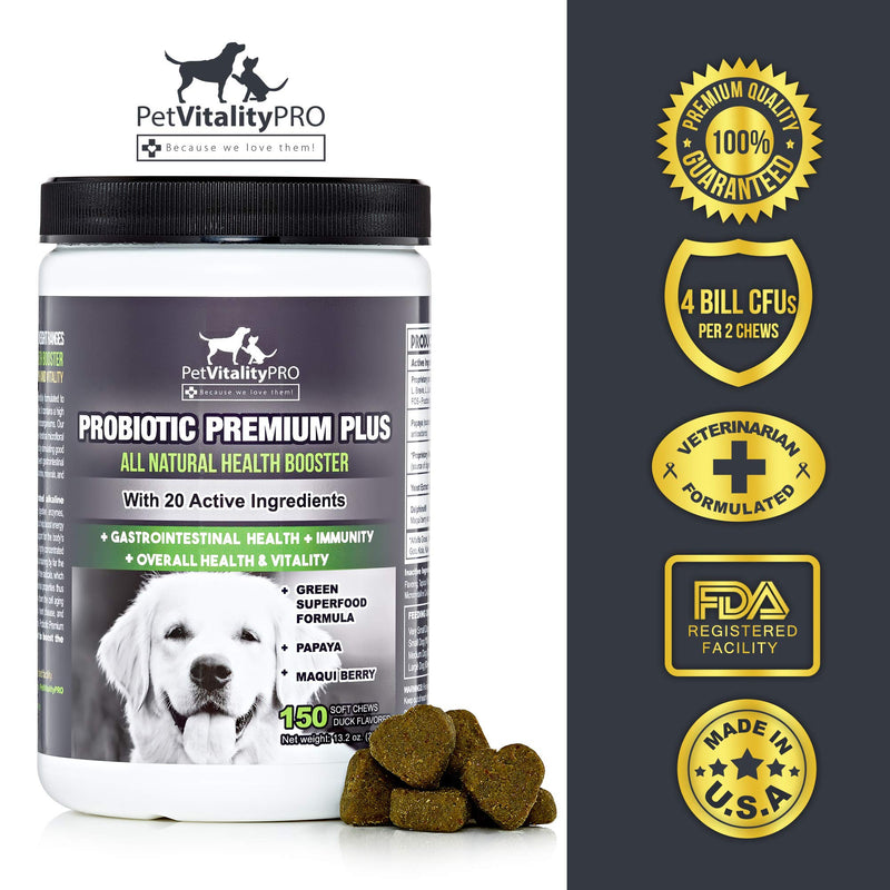 PetVitalityPRO Probiotics for Dogs with Natural Digestive Enzymes ● 4 Bill CFUs/2 Soft Chews ● Dog Diarrhea Upset Stomach Yeast Gas Bad Breath Immunity Allergies Skin Itching Hot Spots 150 - BeesActive Australia