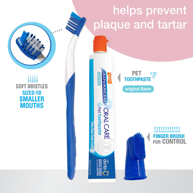 Nylabone Advanced Oral Care Puppy Dental Kit Puppy Original 3 Count - BeesActive Australia
