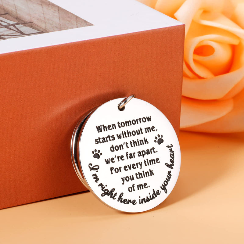 Pet Memorial Gifts, Dog Cat Remembrance Keychain, Loss of Dog Cat Sympathy Gifts Silver - BeesActive Australia