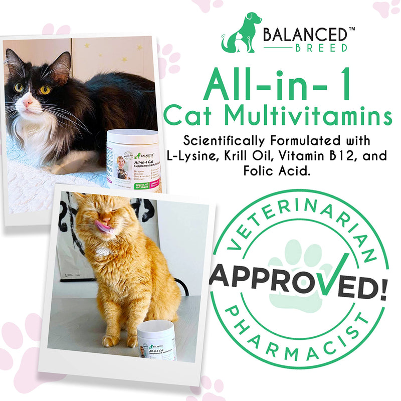 Balanced Breed L-Lysine for Cats Immune Support Skin Coat Sneezing Runny Nose Watery Eyes Cat Multivitamin Omega 3 Cat Vitamins B12 & Folic Acid Natural Booster Supplements Chicken Flavor Catnip Treat - BeesActive Australia