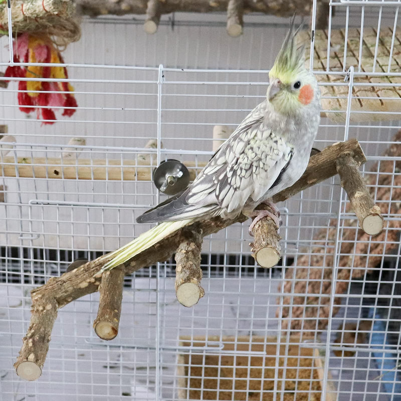 2 Pack Bird Ladder, Bird Perch Stand, Natural Prickly Ash Wood Bird Parrot Cage Accessories, Bird Standing Climbing Chewing Toys for Parakeet Cockatiel Rats Hamsters - BeesActive Australia