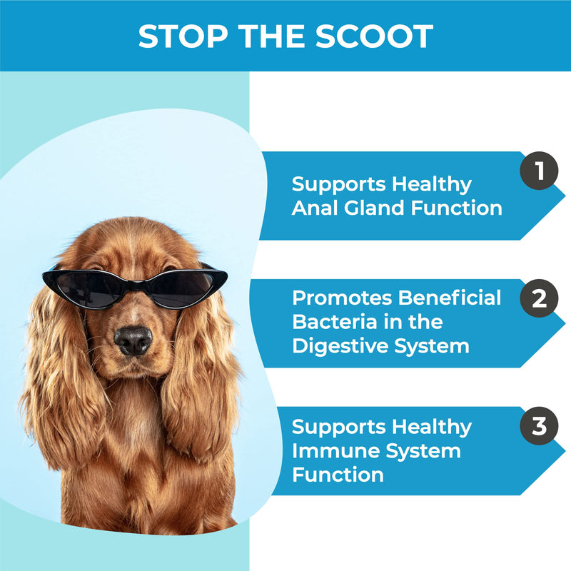 PawMedica Stop Scooting Chews for Dogs - AnalGland Dog Constipation Chews - Recommended Dog Digestive Chews - Pumpkin for Dog Anal Gland Function - Anal Gland Supplement for Dogs 60 No Scooting Chews - BeesActive Australia