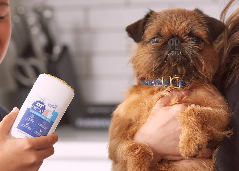 Vetality Brush Free Twist & Lick Brushless Dental Gel for Dogs | Continuously Cleans Teeth and Gums for 24 Hours | Tasty Chicken Flavor | Vet Recommended Dog Breath Freshener | Fun to Use - BeesActive Australia