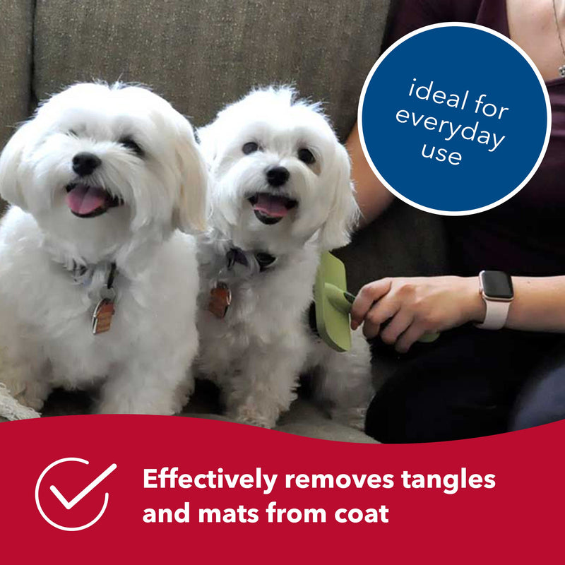 Coastal Pet Safari Curved Firm Slicker Dog Brush - Dog Deshedding Brush - Prevents Mats and Tangled Hair - For Dogs with Short or Long Hair - One Size - 6.5" x 3.06" - BeesActive Australia