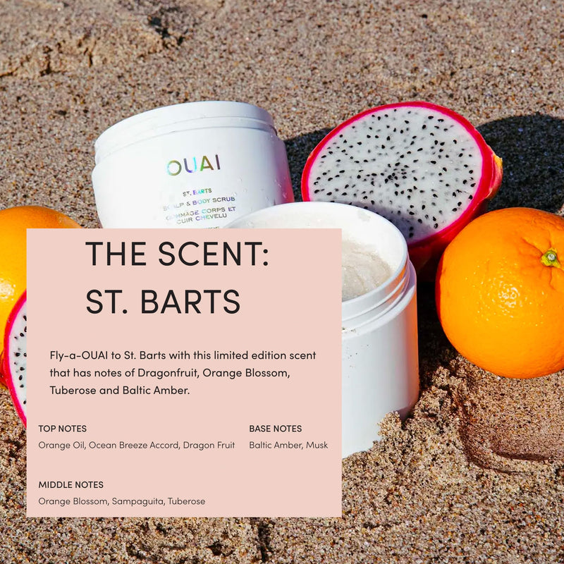 Scalp Scrub & Body Scrub - OUAI St Barts - Coconut Oil & Sugar Scrub - Cleansing Exfoliating Scrub for Hair & Body 96.40 g (Pack of 1) - BeesActive Australia