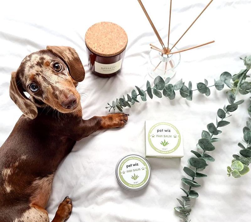 Paw & Nose Balm for Dogs & Cats - Organic & Natural Ingredients - Organic Paw and Nose Balm for Dogs and Cats - Coconut Oil, Shea Butter, Vitamin E & Aloe - BeesActive Australia