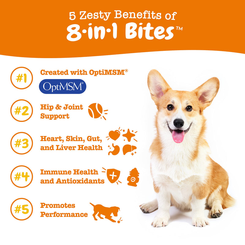 Multifunctional Supplements for Dogs - Glucosamine Chondroitin for Joint Support with Probiotics for Gut & Immune Health – Omega Fish Oil with Antioxidants and Vitamins for Skin & Heart Health Chicken 90 Count - BeesActive Australia