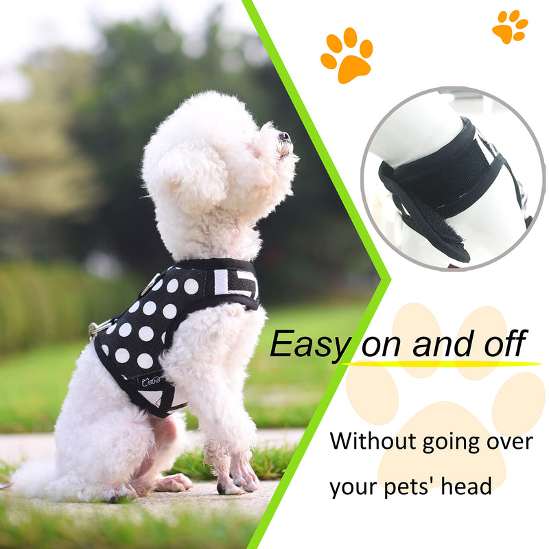 Teacup Dog Harness and Leash Set Small Pet Vest Harness, Adjustable Soft Padded Dog Vest for Teacup Chihuahua, Poodle, Yorike, Maltese Polka Dots Black X-Small (under 3lbs) - BeesActive Australia