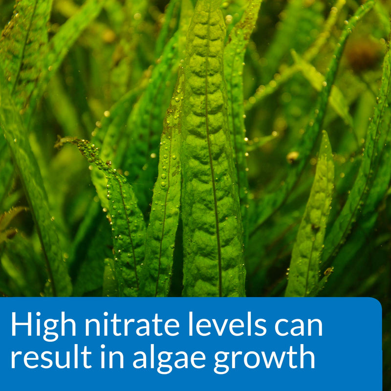 API NITRATE 90-Test Freshwater and Saltwater Aquarium Water Test Kit - BeesActive Australia