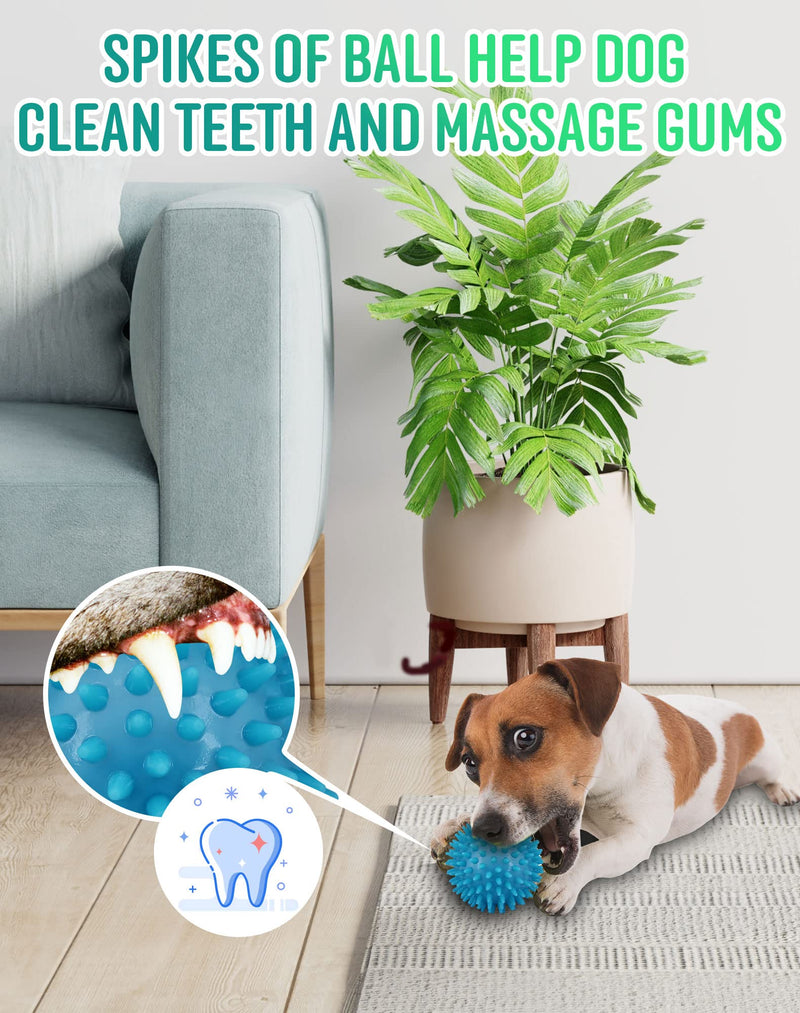 2.5" Squeaky Dog Balls for Small Medium Dogs , 6 Pack Small Dog Chew Toys with Spike, Puppy Toys for Teeth Cleaning and Training - BeesActive Australia
