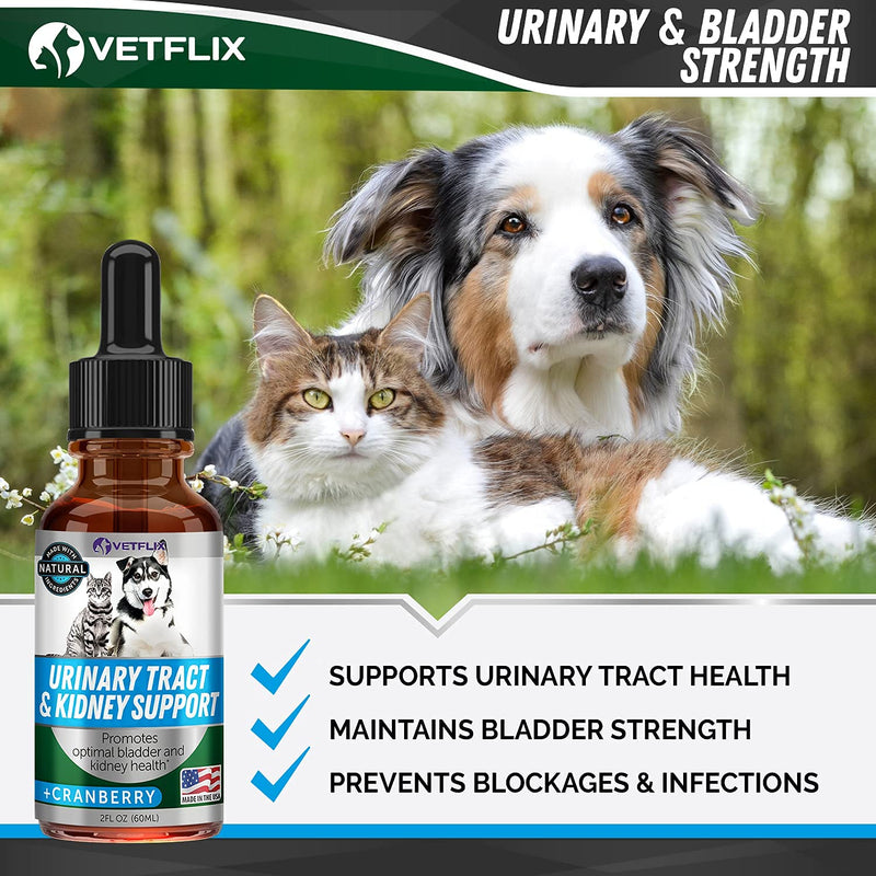Vetflix Cranberry Dog & Cat UTI Treatment - Best UTI for Pets - Made in USA - Dog & Cat Kidney Support - Cat Bladder Drops - Pet Immune Health Supplement - Marshmallow, Dandelion Root, Pumpkin Seed - BeesActive Australia