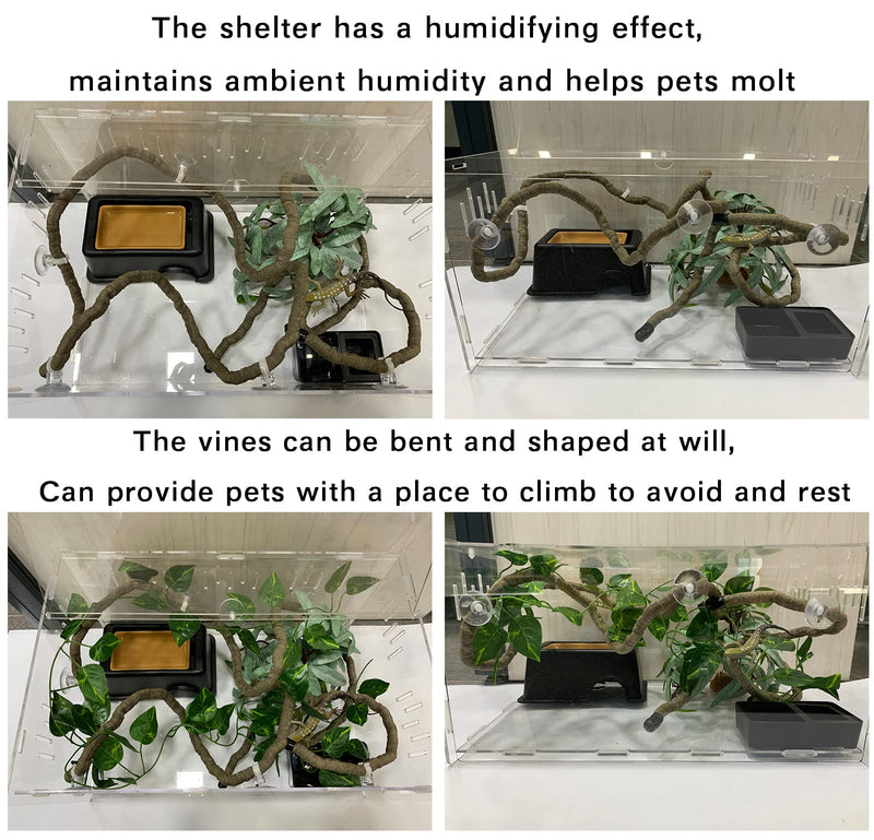 Woyrise Reptile Hideout Box with Sink Humidifier Help Your Pets Shedding Gecko Hide Cave& Jungle Vine Leaves Habitat Decor for Bearded Dragons Lizards Leopard Gecko Spiders Turtles and Snakes - BeesActive Australia
