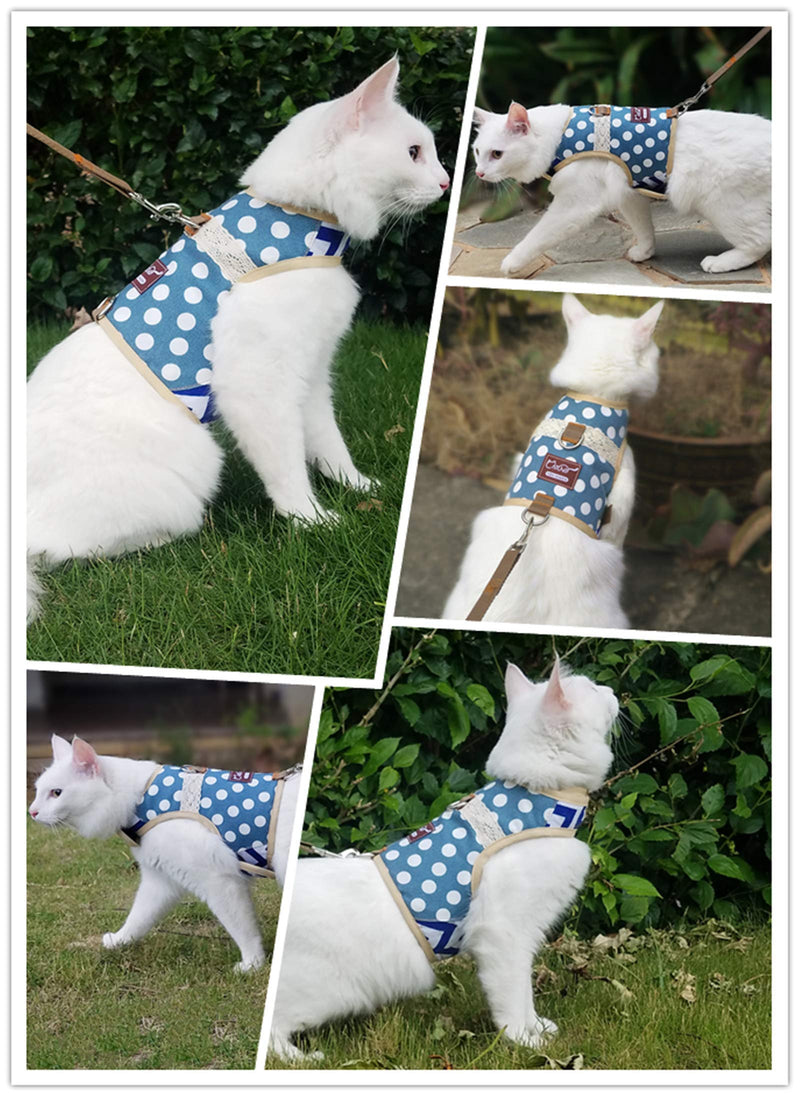 Yizhi Miaow Cat Harness and Leash for Walking Escape Proof, Adjustable Cat Vest Harness, Padded Stylish Cat Walking Jackets L 8-12LBS Polka dot blue - BeesActive Australia