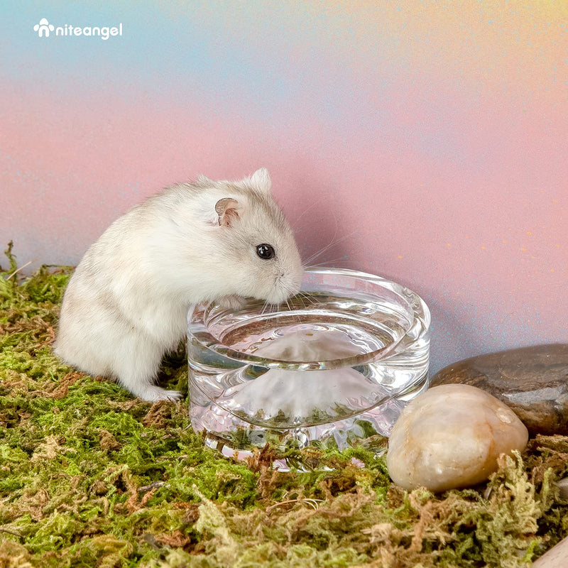 Niteangel Hamster Feeding & Water Bowls: - Mount Fuji Series Glass Drinking Bowls for Dwarf Syrian Hamsters Gerbils Mice Rats or Other Similar-Sized Small Pets White - BeesActive Australia
