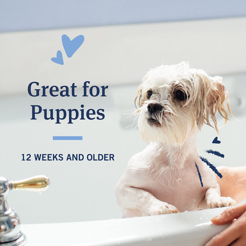PetArmor Plus Oatmeal Flea & Tick Treatment Tropical Breeze Scent Shampoo for Dogs 1 Count (Pack of 1) - BeesActive Australia