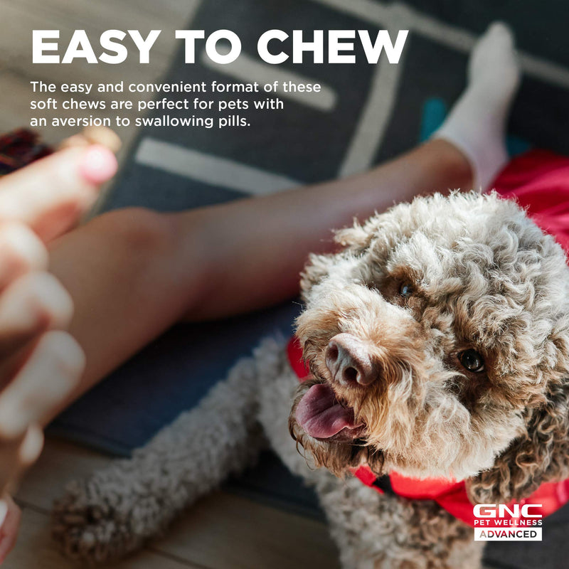 GNC for Pets Advanced Dog Supplement, 60 or 90 Ct - Dog Vitamins, Pet Supplements for Dog Health and Support, GNC Pets Pet Vitamins, GNC Dog Chews for Calming, Joint health, and More - Made in USA Multivitamin 90 Count - BeesActive Australia