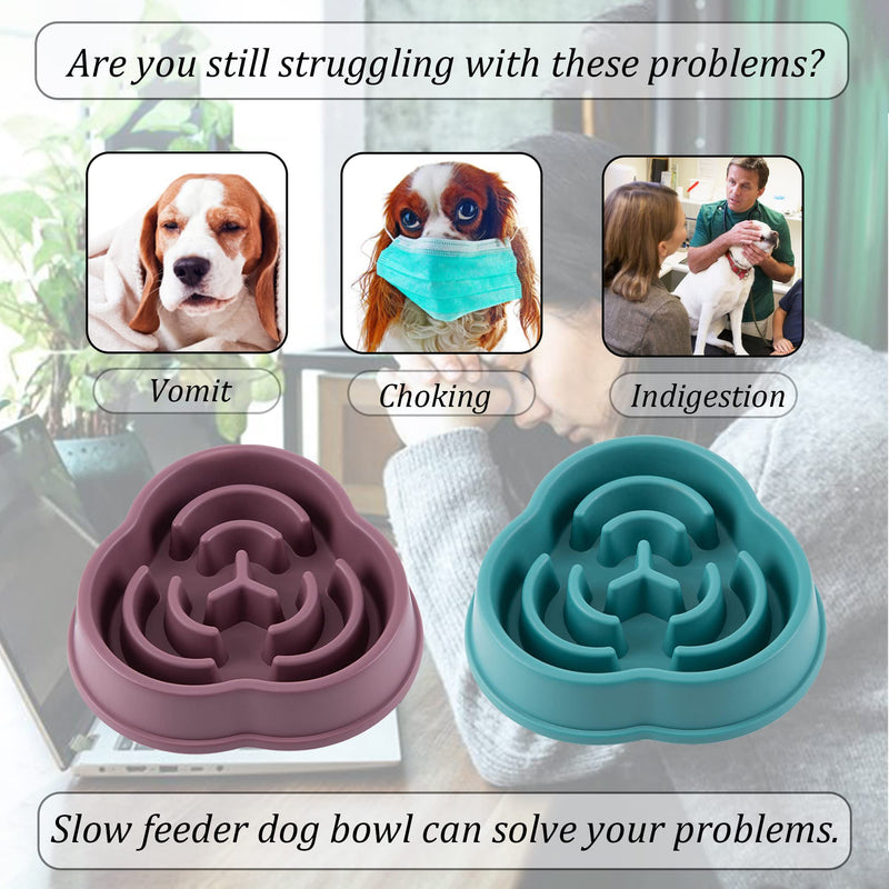 Slow Feeder Dog Bowl for Small Medium Dogs Non Slip Slow Eating Dog Bowl Anti Choking Food Bowls Maze Puzzle Anti-Overeating Feeding Puppy Bowls (2 Pack) Purple+Green - BeesActive Australia