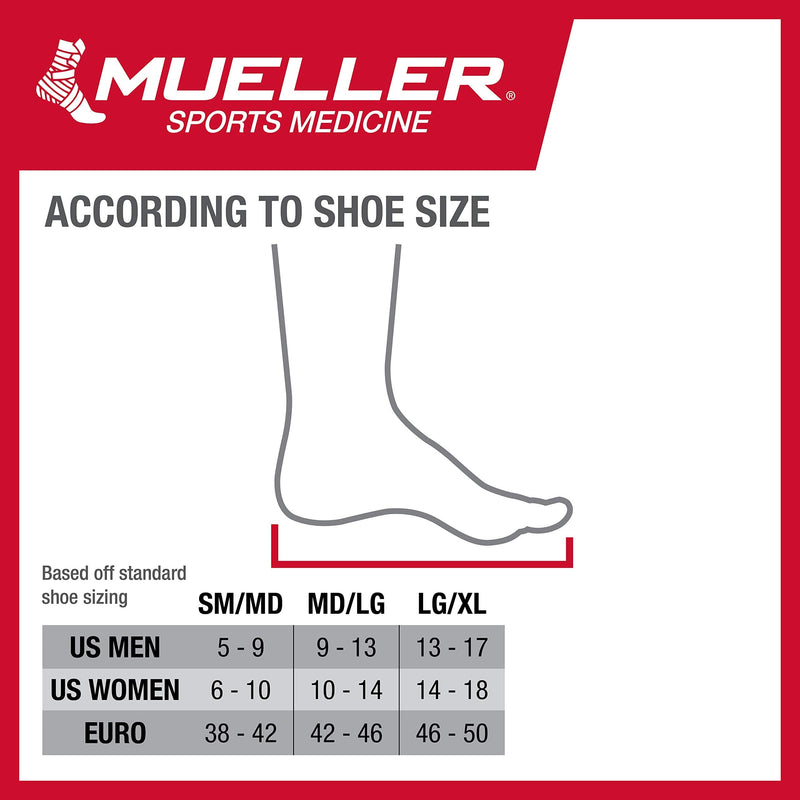 Mueller Sports Medicine Four Way Ankle Support Sleeve, for Men and Women, Black/Blue, L/XL Large/X-Large (Pack of 1) - BeesActive Australia