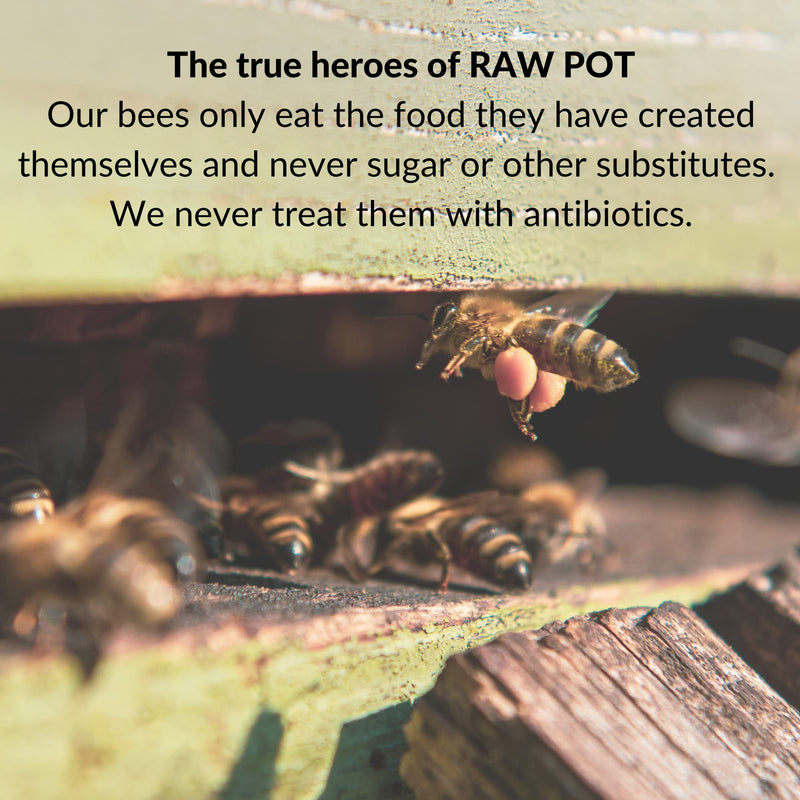 RAW POT - Organic Propolis and SAGE Throat Spray | Alcohol-Free 100% Pure Raw Bee Propolis Extract & Sage | Relief Sore Throat Spray & Soothes Pain, Immunity Support | Kids & Adults (30ml) PROPOLIS + SAGE - BeesActive Australia