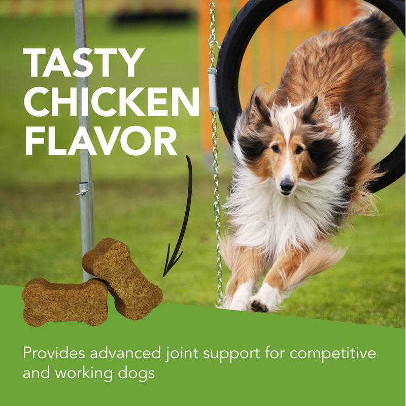 VetriScience Glycoflex 2 Hip and Joint Supplement for Working and Active Dog Breeds, Chicken, 120 Chews - Joint and Mobility Support for Competitive and Maturing Dogs - BeesActive Australia