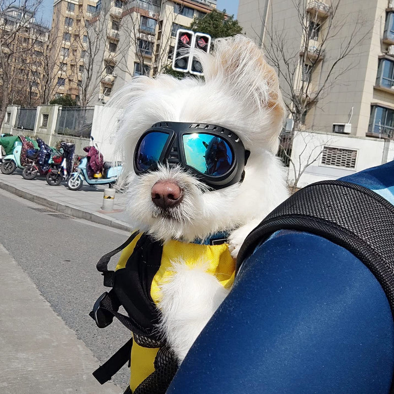 ENJOYING Dog Goggles Anti-UV Dog Sunglasses Soft Pet Motorcycle Eyewear Fog-Proof Windproof Shatterproof Dog Glasses for Dogs About Over 10 lbs Blue Small - BeesActive Australia