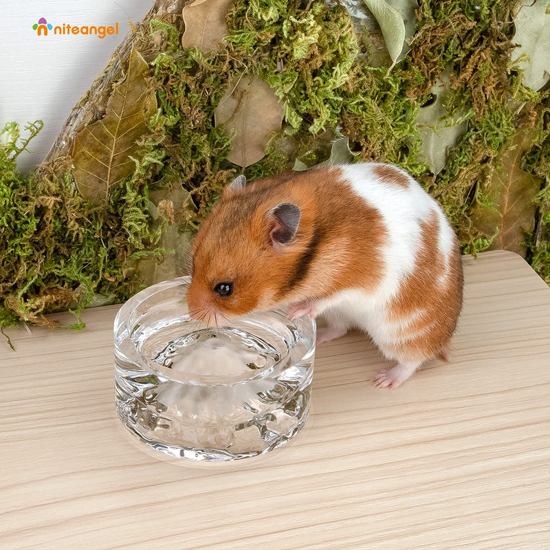 Niteangel Hamster Feeding & Water Bowls: - Mount Fuji Series Glass Drinking Bowls for Dwarf Syrian Hamsters Gerbils Mice Rats or Other Similar-Sized Small Pets White - BeesActive Australia