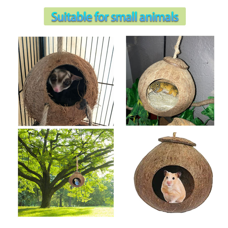 kathson Natural Coconut Shell Bird Nest,Hanging Coco Birds House,Parrots Hide Hut Habitats Decor,Parrot Cage Accessories for Lovebirds Cockatiel Canary Budgies,Feeder Spoon,4 Toy Balls(6 Pcs) - BeesActive Australia