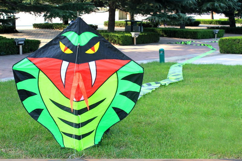 [AUSTRALIA] - Hengda kite 15m Large Power Snake Kites with Flying Line Outdoor Fun Sports Kite Cobra 