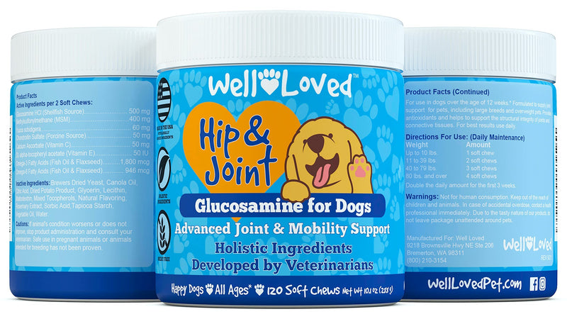 Well Loved Glucosamine for Dogs - Joint Supplement for Dogs, Made in USA, Vet Developed, Dog Joint Supplement, Glucosamine Chondroitin for Dogs, Advanced Hip and Joint Chews with MSM, Pain Relief, 120 - BeesActive Australia