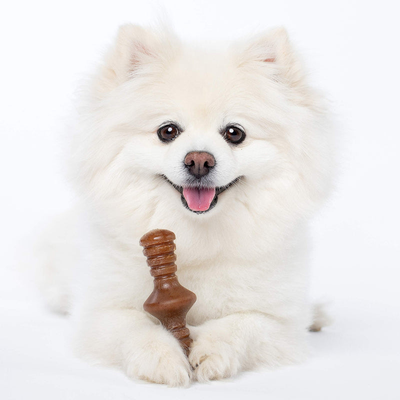 Benebone Tiny 2-Pack Durable Dog Chew Toys, Real Bacon, Real Maplewood, Made in USA REAL Bacon/REAL Maple Wood Extra Small - BeesActive Australia
