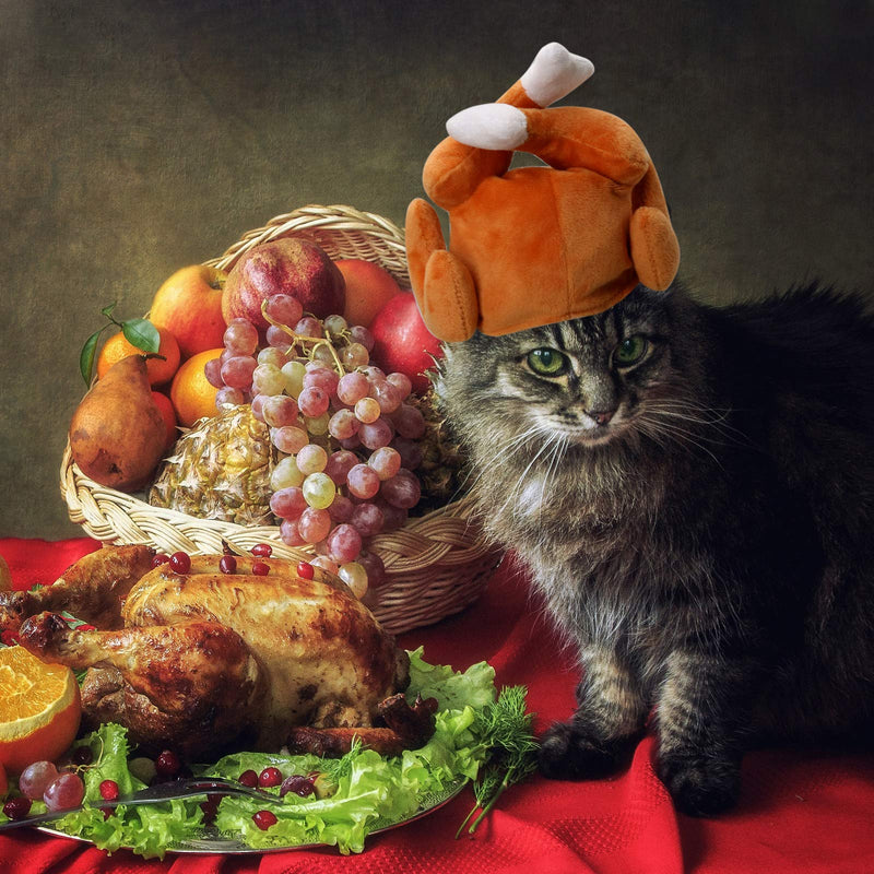 Rypet Thanksgiving Cat Costume 2 Pack - Pet Turkey Hat Thanksgiving Apparel for Cats and Small Dogs - BeesActive Australia