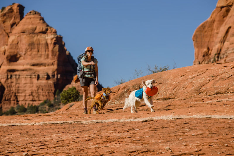 Ruffwear, Camp Flyer Dog Toy, Lightweight and Flexible Disc for Throw and Fetch Red Sumac - BeesActive Australia