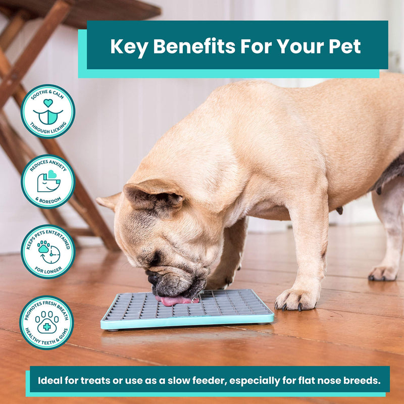 Lickimat Tuff, Heavy-Duty Dog Slow Feeders Lick Mat, Boredom Anxiety Reducer; Perfect for Food, Treats, Yogurt, or Peanut Butter. Fun Alternative to a Slow Feed Dog Bowl! Turquoise Soother - BeesActive Australia
