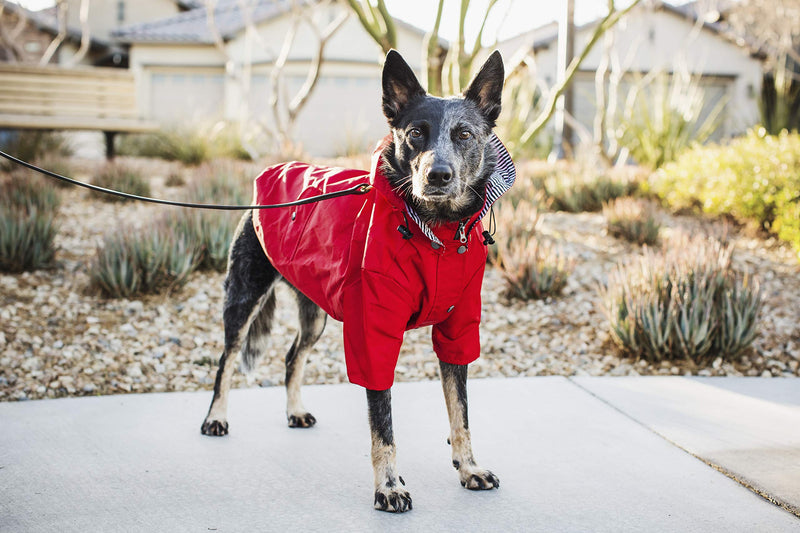 Ellie Dog Wear Red Zip Up Dog Raincoat with Reflective Buttons, Pockets, Water Resistant, Adjustable Drawstring, Removable Hoodie - Size XS to XXL Available - Stylish Premium Dog Raincoats Medium - BeesActive Australia