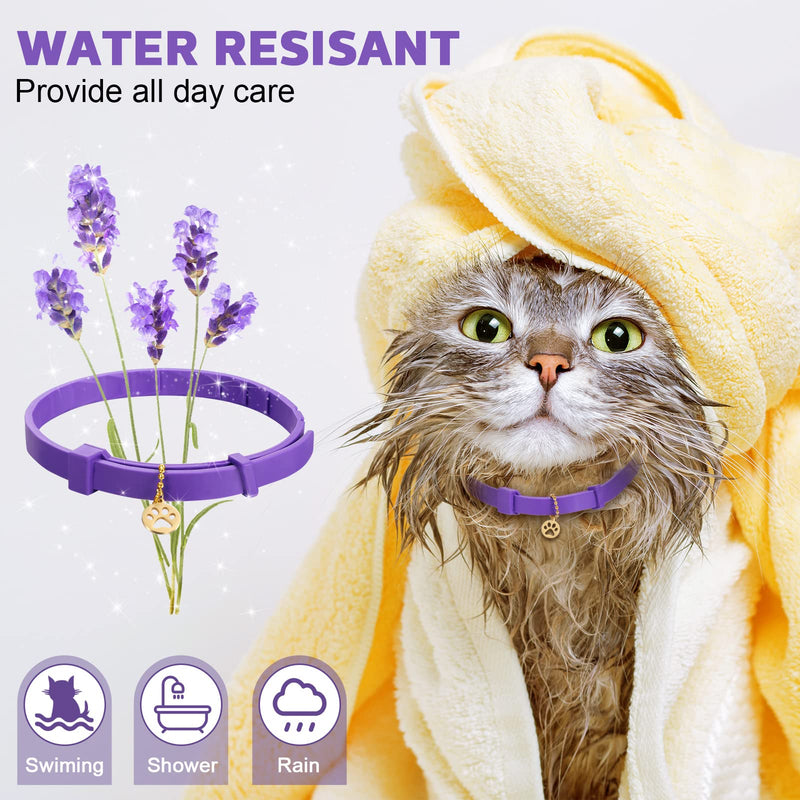 2 Pieces Calming Cat Collar Lavender Scent Relaxing Cat Collar Adjustable Longlasting Reduce Anxiety Cat Collar with Pendant for Puppy Cat Reduce Stress Aggression and Anxious Behavior, up to 15 Inch - BeesActive Australia