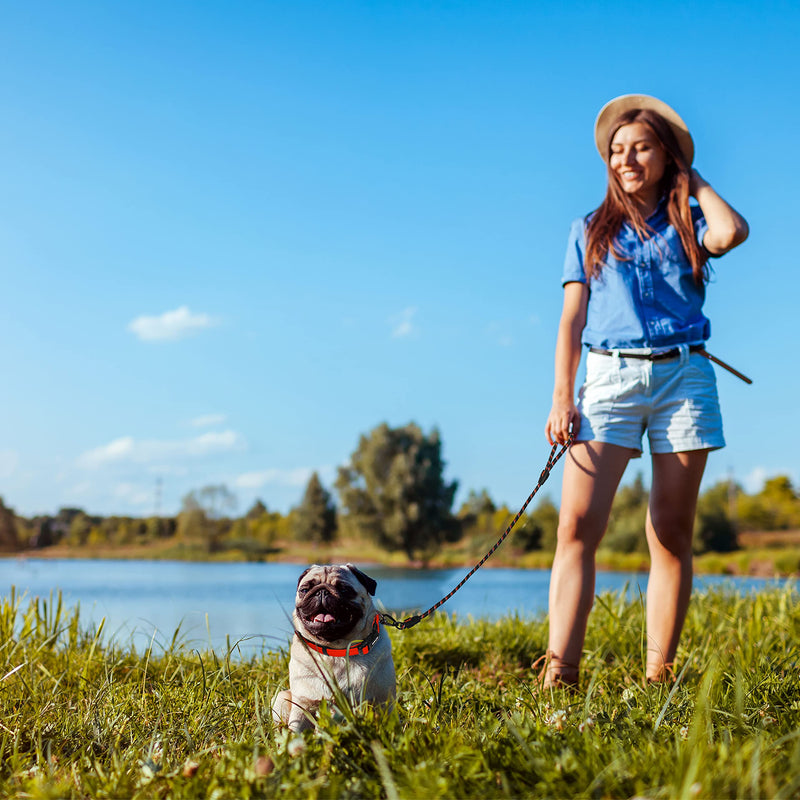 Kruz Reflective Dog Leash -KZROPE5048/5060 - Soft Silicone Grip with Click & Lock Snap - Walking, Running and Pet Training - Heavy-Duty, Durable Rope - Security, Safety, Control, and Comfort 1/2" x 5 FT Black - BeesActive Australia