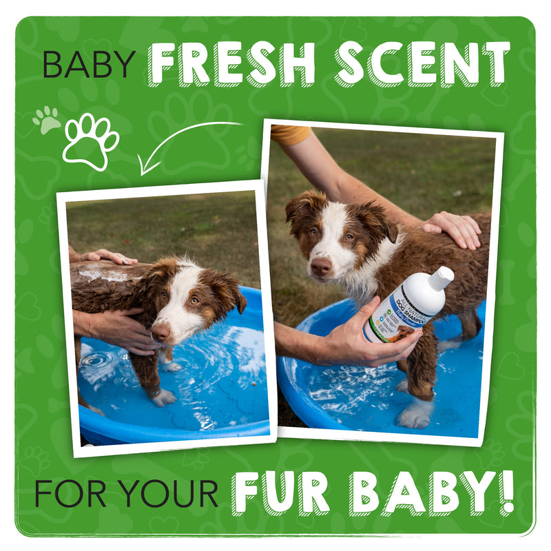 The Healthy Dog Co - Dog Shampoo Baby Powder Scent - Puppy Shampoo for Puppies 8 Weeks Old - Puppy Shampoo and Conditioner - Puppy Conditioner - Puppy Wash Shampoo - Puppy Shampoo Mild - 16.9 Oz - BeesActive Australia