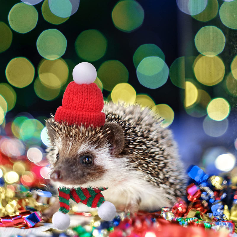 Satiri 8 Pieces Small Animal Christmas Costume Mini Santa Hat Xmas Guinea Pig Hat Small Pet Christmas Hat with Scarf for Hamster Guinea Pig Chinchilla Hedgehog Lizard Bearded Dragon Xmas Party Supply - BeesActive Australia