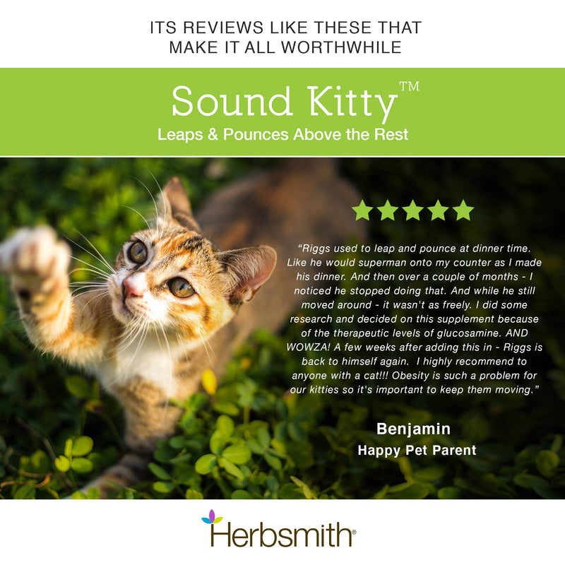 Herbsmith Sound Kitty – 5-in-1 Joint Care for Cats with Chondroitin, Glucosamine & MSM- Natural Joint Pain Relief for Cats – 75g - BeesActive Australia