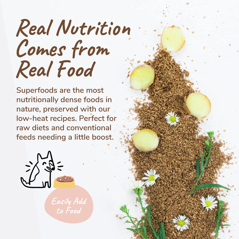 kin+kind Organic Cat & Dog Anxiety Relief - Healthy Calm Pet Supplement - Natural Stress and Anxiety Relief for Dogs and Cats - Formula with Chamomile, Ginger and Hawthorn Berry - Mixed in USA 4 oz - BeesActive Australia