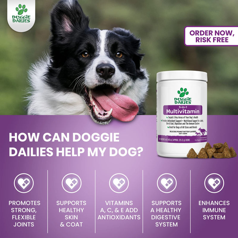 Doggie Dailies Multivitamin for Dogs, Advanced Dog Multivitamin Provides Antioxidant Support + Nutritional Support for Joints, Skin & Coat, Digestion, and The Immune System Peanut Butter - BeesActive Australia