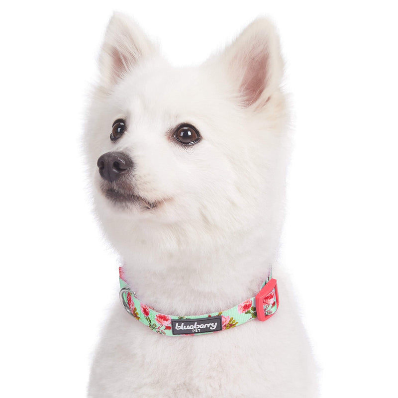 Blueberry Pet 10+ Patterns Spring Scent Floral Dog Collars, Personalized Collars X-Small Turquoise - BeesActive Australia