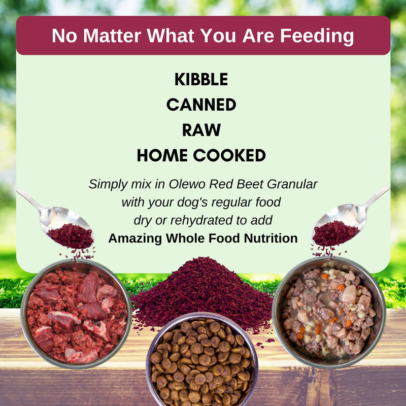 Olewo Red Beet Granular – Natural Immune Support - Anti Itch, Skin & Coat, Seasonal Allergies – Digestive Prebiotic Fiber 22 oz - BeesActive Australia
