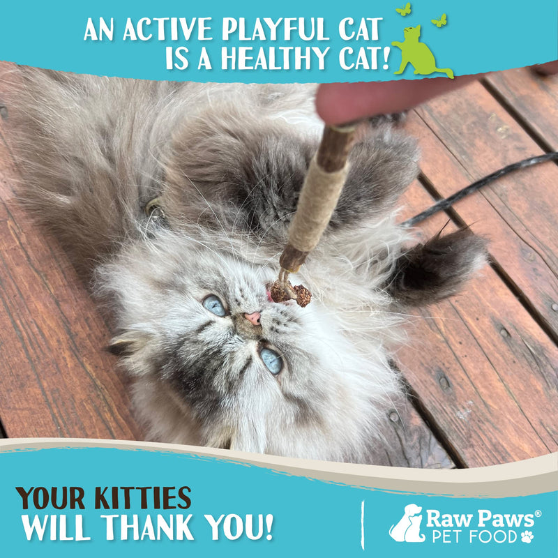 Raw Paws Silvervine Sticks Cat Feather Toys for Indoor Cats, 3 ct - Interactive Cat Toys with Feathers - Cat Kicker Toy - Catnip Toys for Cats - Cat Feather Stick, Silvervine for Cats, Matatabi Sticks - BeesActive Australia