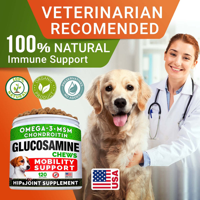 STRELLALAB Glucosamine Treats for Dogs - Joint Supplement w/Omega-3 Fish Oil - Chondroitin, MSM - Advanced Mobility Chews - Joint Pain Relief - Hip & Joint Care - Made in USA Bacon 120 Treats - BeesActive Australia