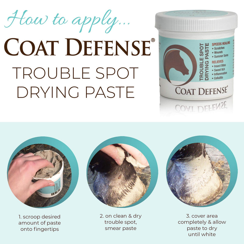 COAT DEFENSE Trouble Spot Drying Paste for Horses - Natural Equine Wound Care That Provides Safe & Effective Relief from Scratches, Sweet Itch, Summer Sores, Proud Flesh, Mud Fever, Girth Rot (10 Oz) - BeesActive Australia