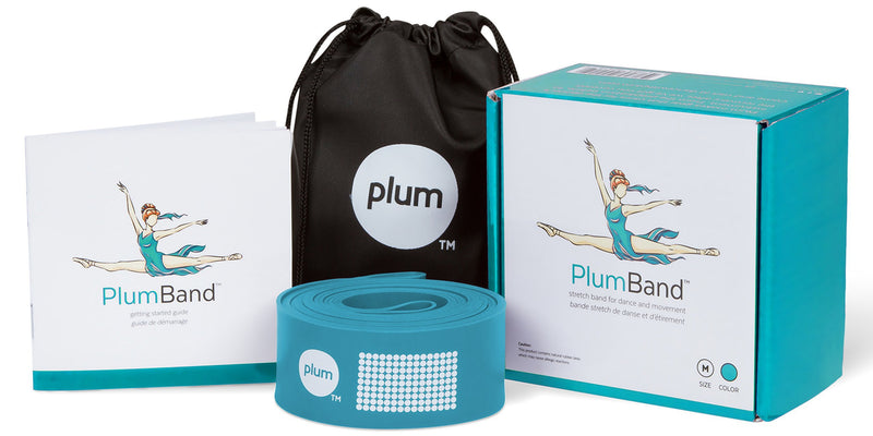 [AUSTRALIA] - The PlumBand Stretch Band for Dance and Ballet – Colors and Sizes for Kids & Adults – Improve Your Splits, Strength, and Flexibility with Stretching – Printed Instruction Booklet and Travel Bag Sky Blue Regular 