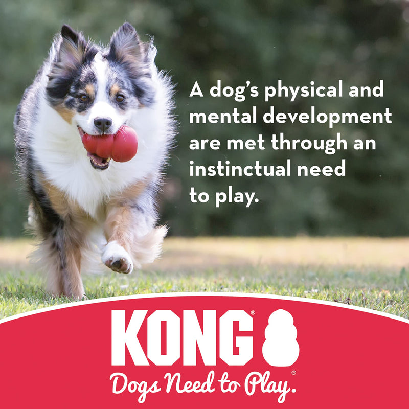 KONG - Ball with Hole - Durable Rubber, Fetch Toy Medium/Large - BeesActive Australia